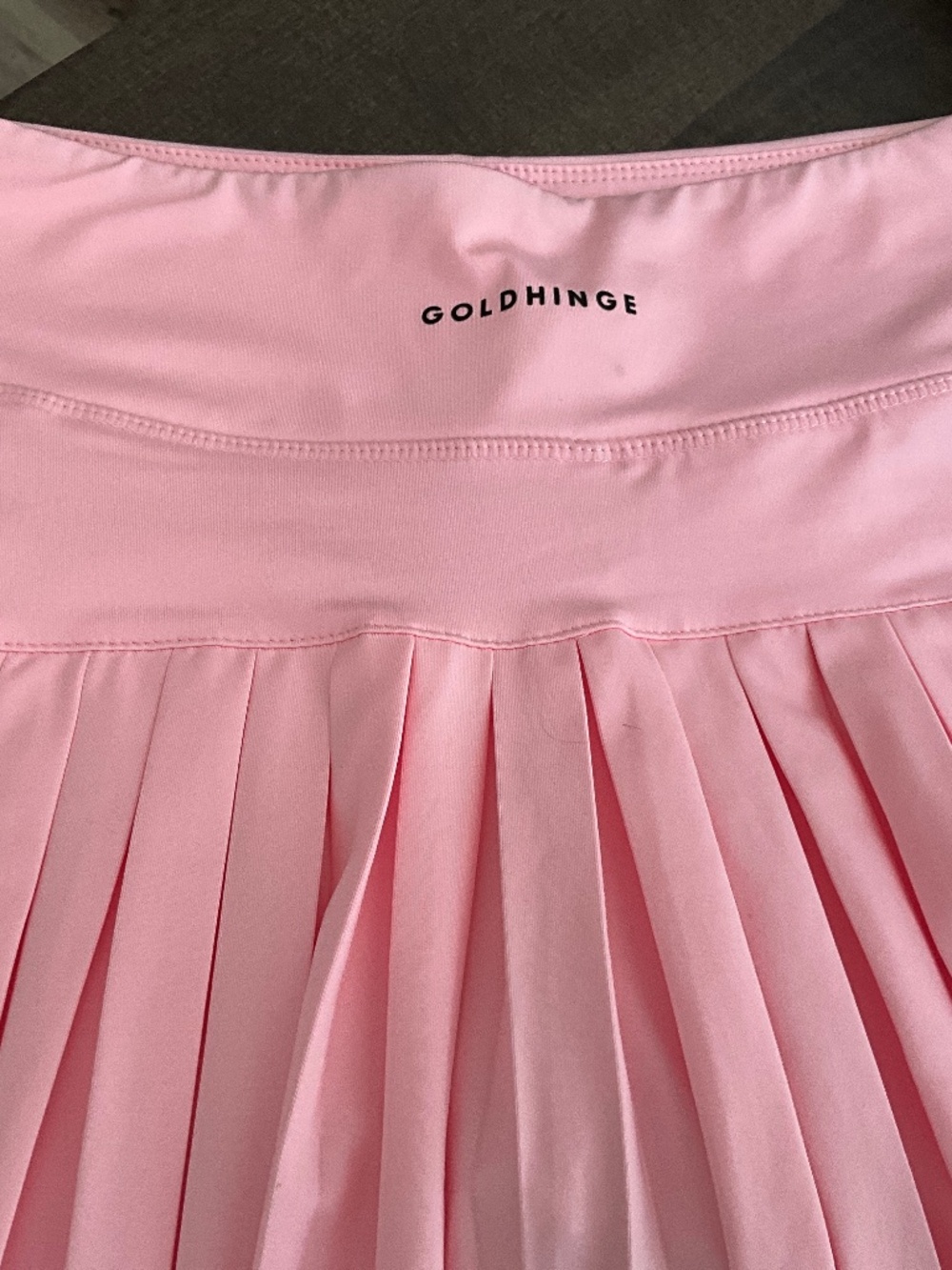 Gold Hinge Pleated Skirt